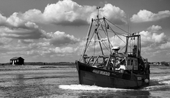 高速云存储的免费短信呼死你2023